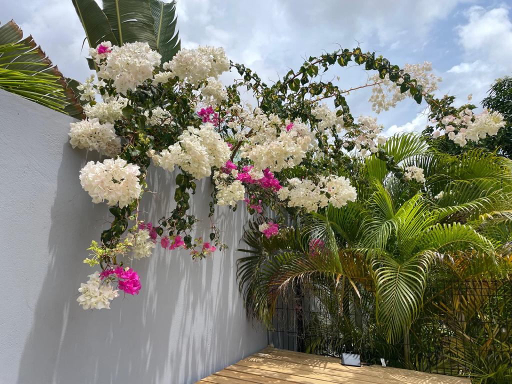 Flowers in the garden